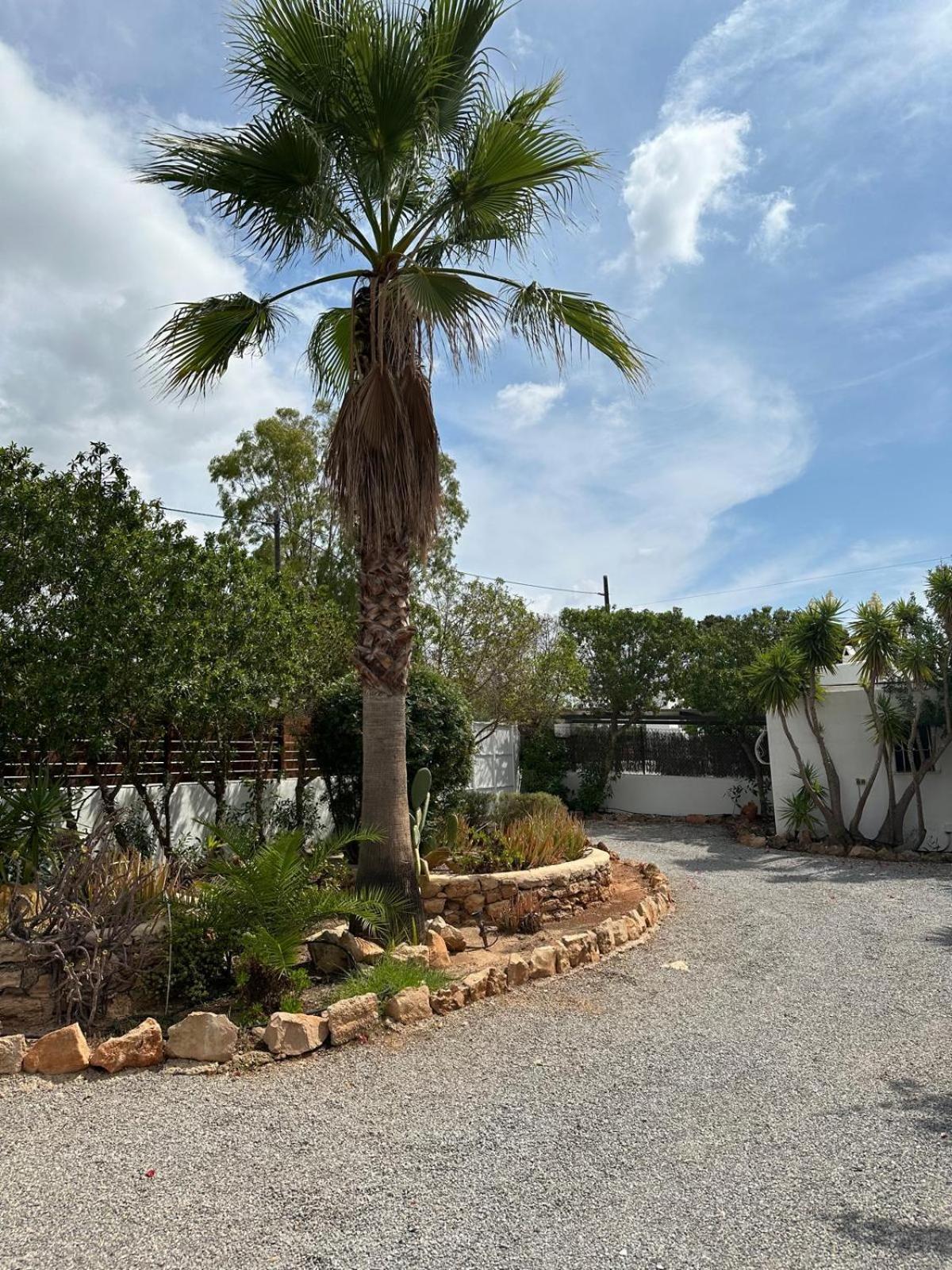 Вилла Micasa Ibiza Сан-Антонио-Абад Экстерьер фото