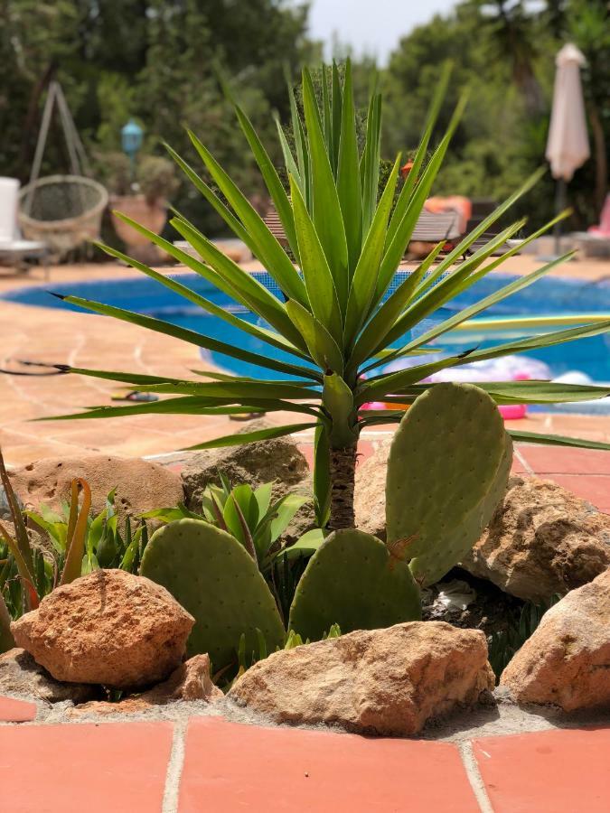 Вилла Micasa Ibiza Сан-Антонио-Абад Экстерьер фото